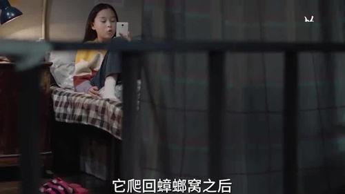 谁爆料柿子姐的视频播放 第3张 谁爆料柿子姐的视频播放 第3张